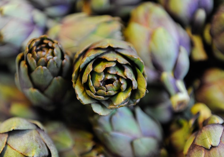 Artichoke photographed for the gastronomy collection